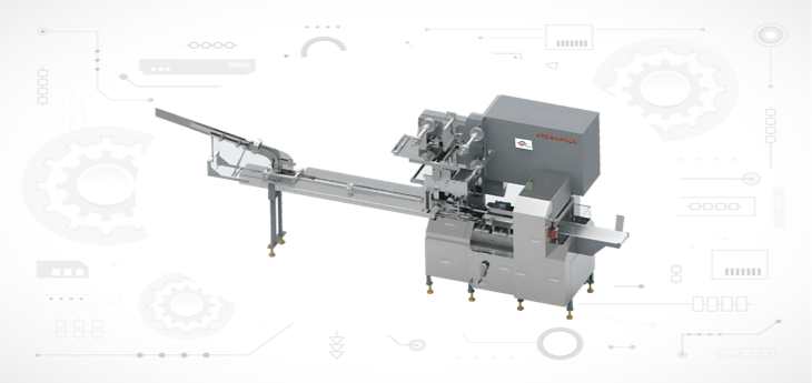 Packaging Machine Manufacturing Company in Vadodara